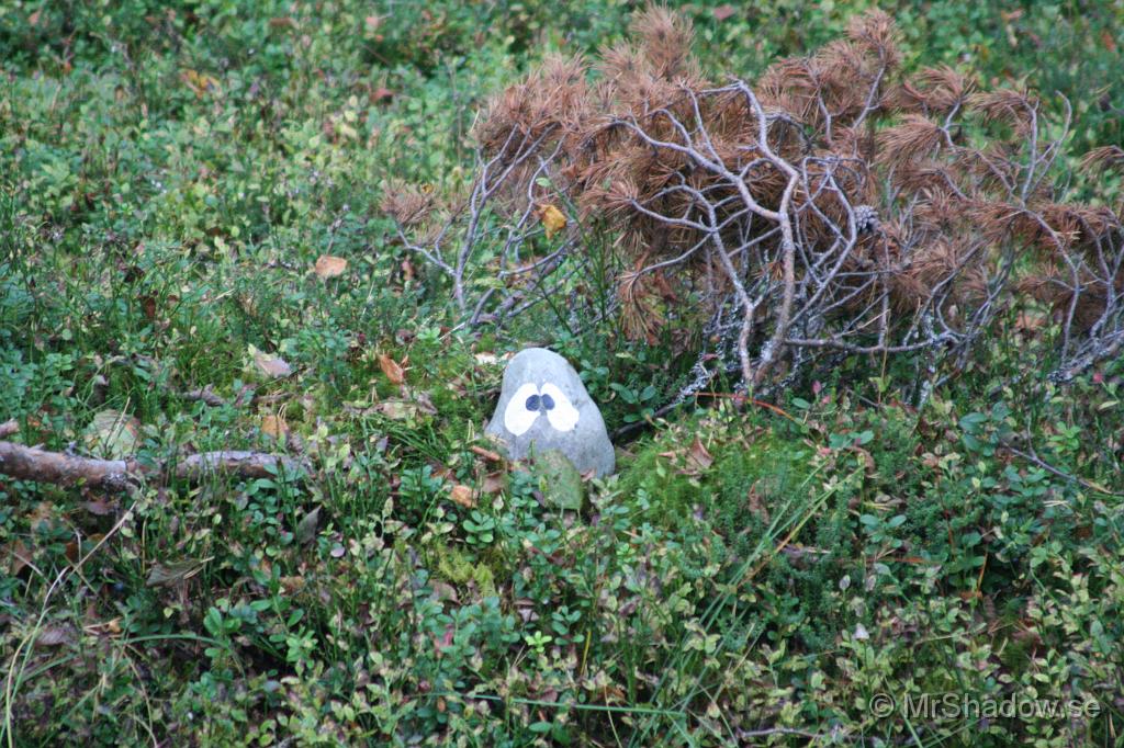 IMG_5568.JPG - En sten med ögon.