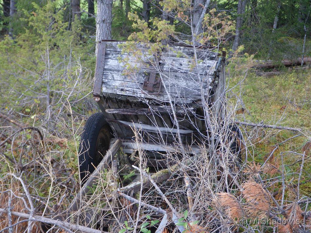 IMGP2134.JPG - Helt klart så har kärran transporterat sitt sista lass