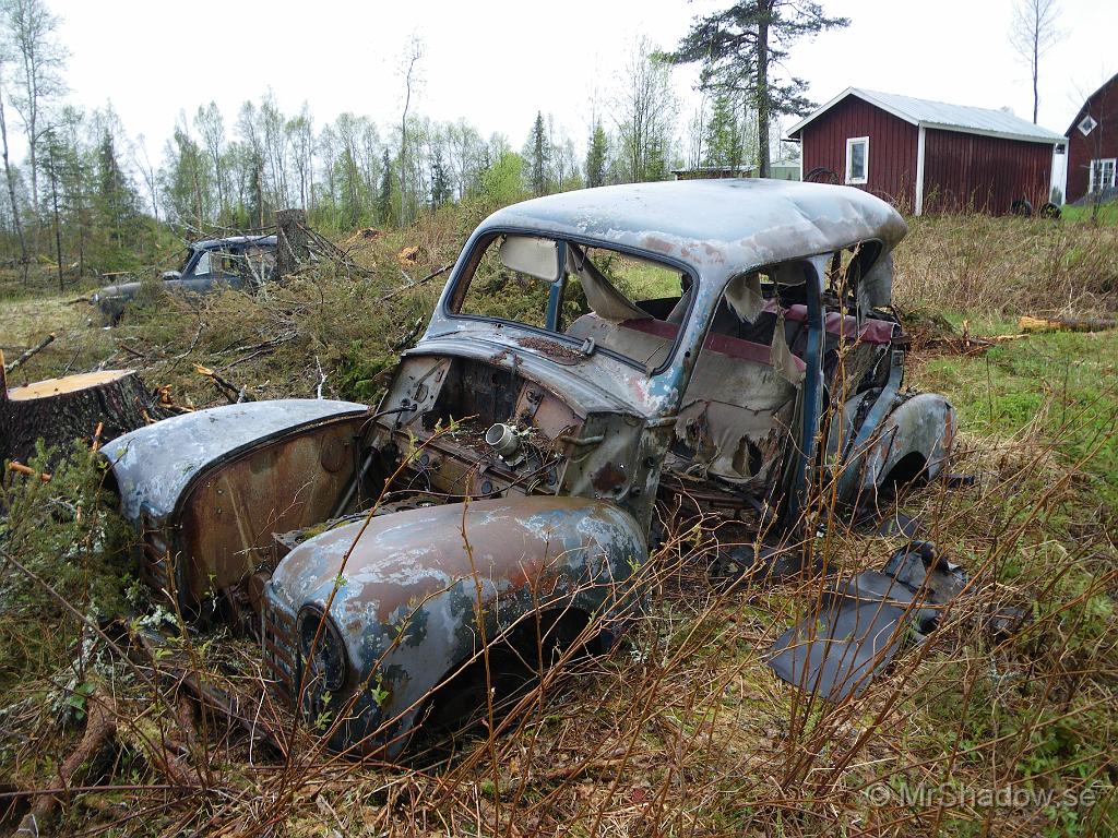 IMGP3427.JPG - Gissar på en engelsman och att det är en Vauxhall Velox från sent 40 tal.. Det finns ju fler Vauxhall i närheten.. Skadan baktil kan vara gjord av skogsmaskinen när man avverkade träd just intill.