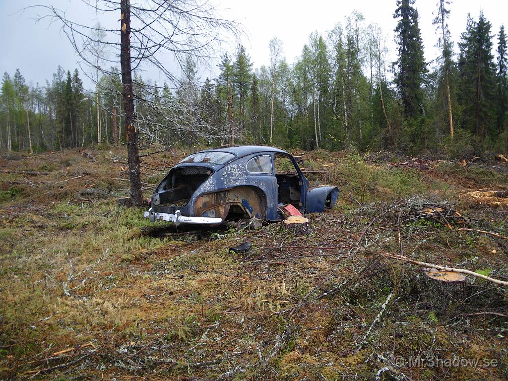 IMGP3436.JPG - Det var den siluetten jag kände igen på lååångt håll. En kutrygg från Torslanda