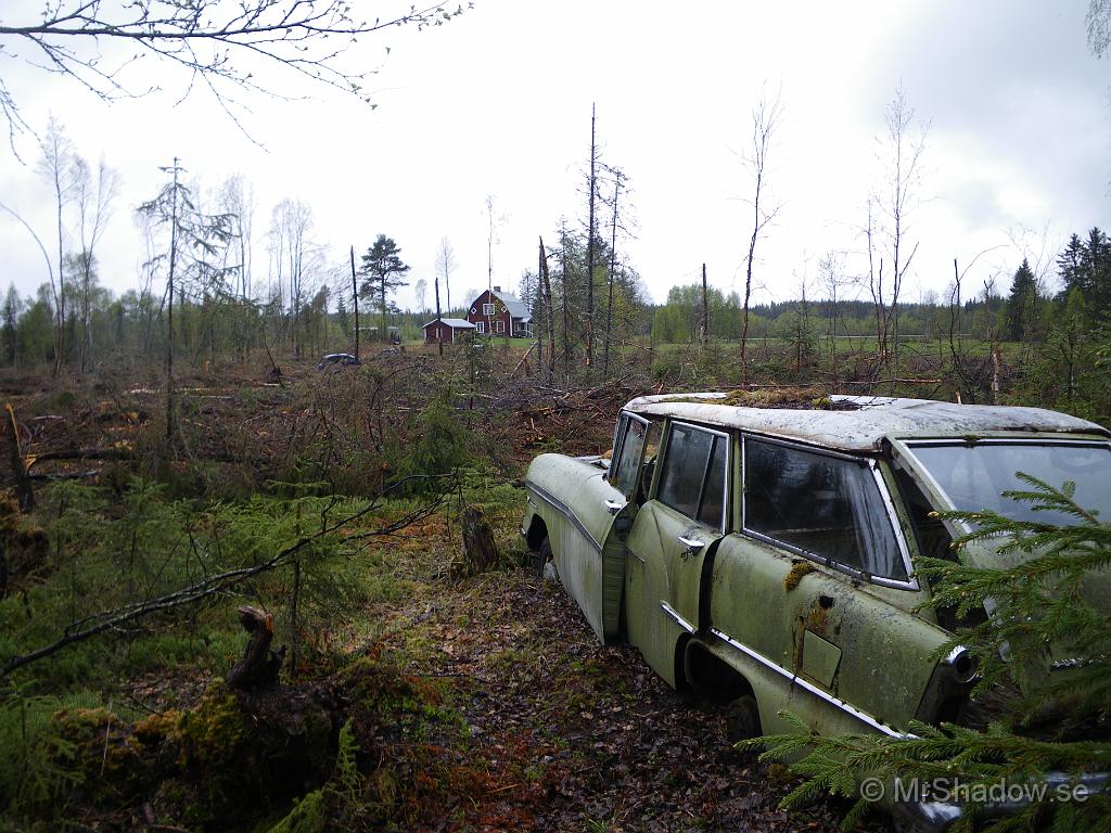 IMGP3450.JPG - Om det inte är någon skog kvar, kan dessa då kallas skogsvrak ??  Jag skall faktiskt kolla om någon är intresserad att rädda denna unika Vauxhal Victor bland mina kontakter..l