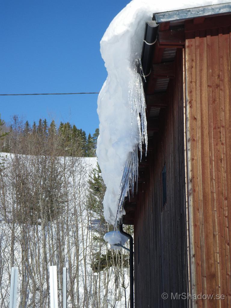 IMGP3020.jpg - Vintern har varit mycket kall och troligen inte någon plusgrad på två månader. Att det är istappar på detta sett på garaget, tyder på att det är värme där inne..