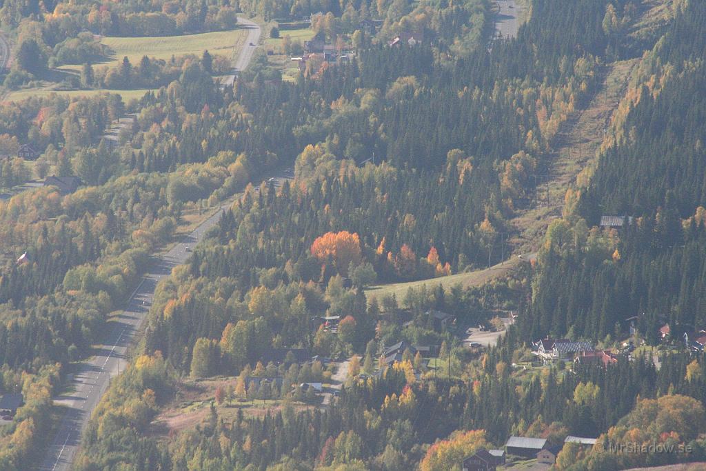 IMG_4046.JPG - De röda asparna lyser riktigt