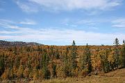 IMG_3998