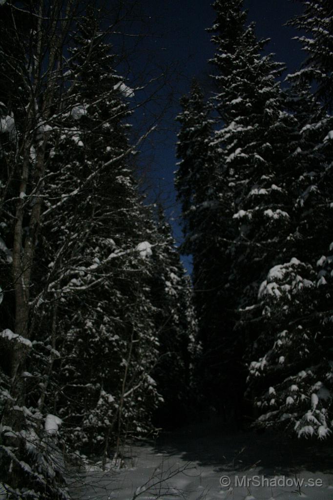 IMG_6327.JPG