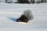 Cold-day