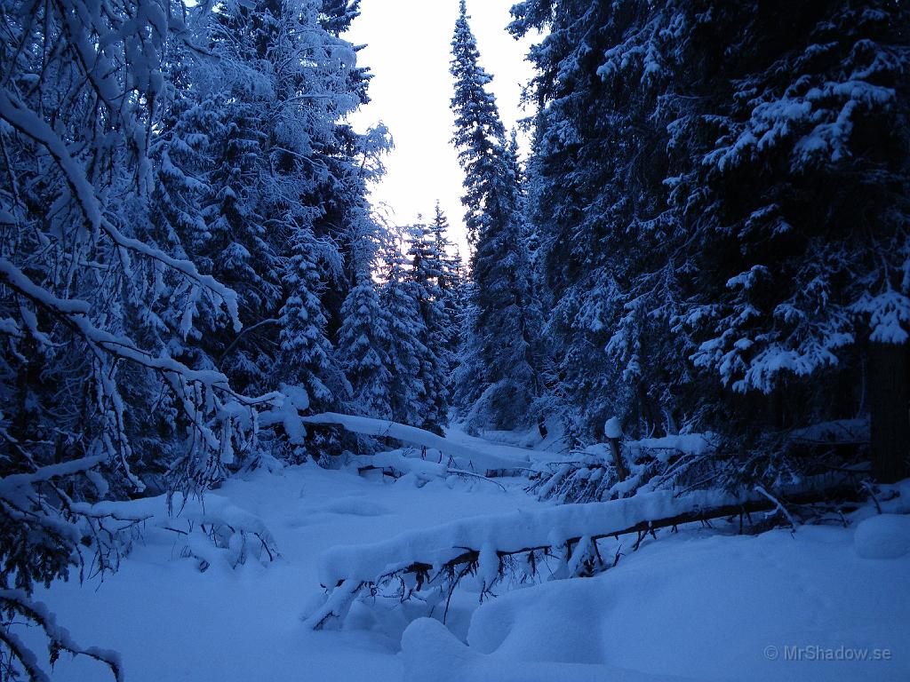 IMGP0264.JPG - 2009-01-04  Knepigt vad blått ljuset kan vara.. Ån syns inte för all snö. Men kallt är det, medtagen termometer visade ca -21