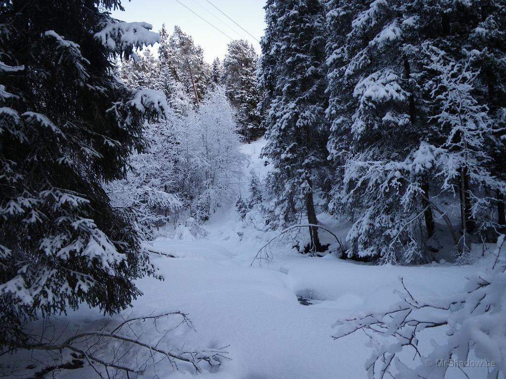 IMGP0265.JPG - Vänt 180 grader och då blev ljuset lite bättre. I ån syns några små hål i snön mot "The Creek".