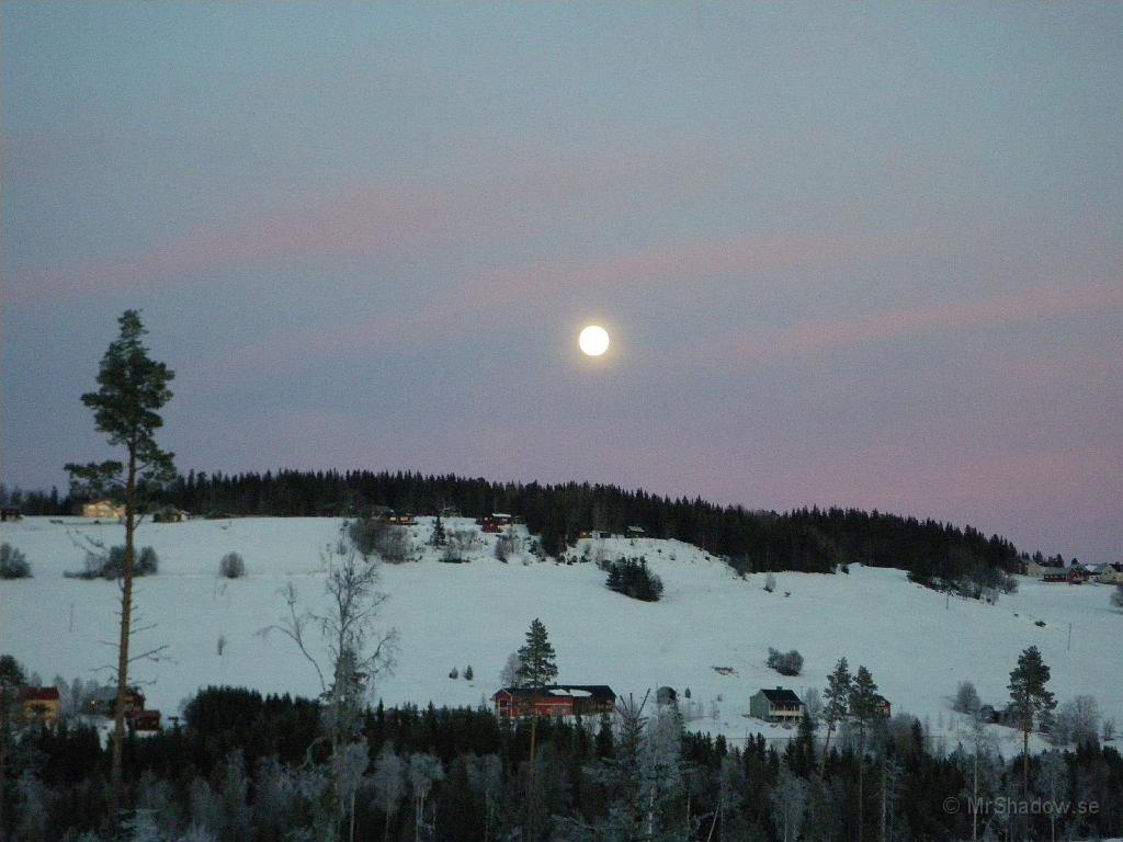 IMGP0274.JPG - Det är inte ofta månen ser så stor ut. Enligt en tidning så är detta det största den blir på hela 2009.