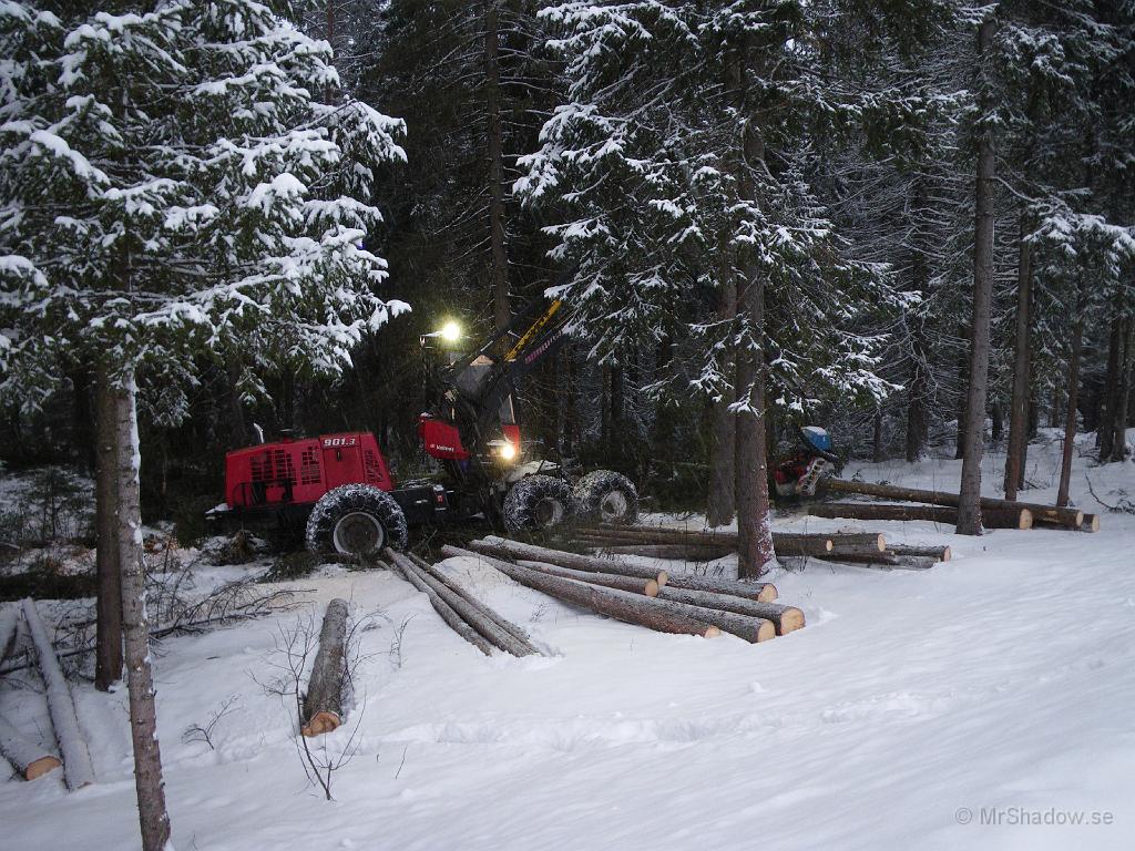 IMGP0305.JPG - Några hundra meter väster om Slåttet, håller man på med gallring i skogen. En skördare fäller, kvistar och staplar upp i en vända. Intressant att se och lukten av nysågat virke gör att man drar efter andan extra mycket. Maskinen gick mycket tyst och spred ingen illaluktande dieselrök heller. Plus poäng för den delen.