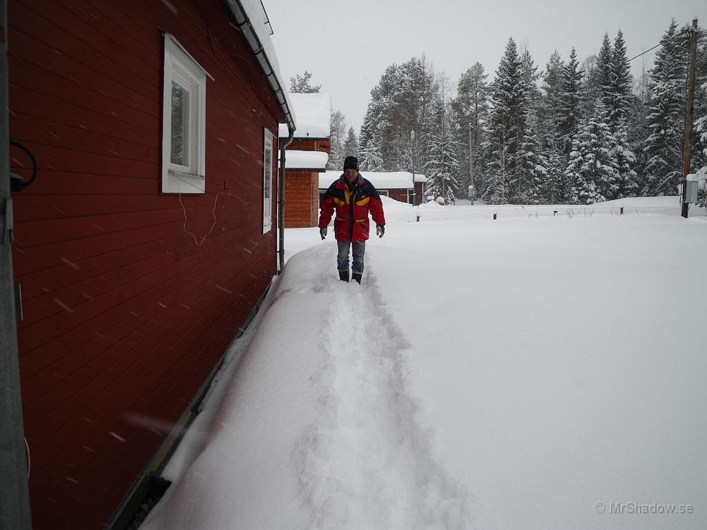 IMGP0371.JPG - Vägbygge. Skall bära in virket till nya innertaket till vardagsrummet och då skall det in genom ett fönster. Trampar gångväg så att man inte behöver pulsa i djupsnö varje lass