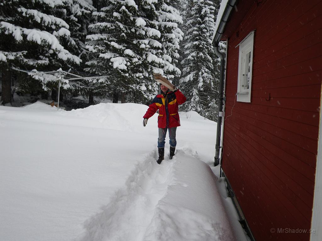 IMGP0377.JPG - In på den nytrampade vägen