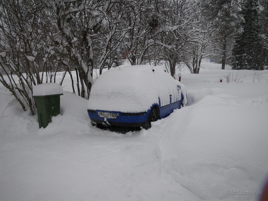 IMGP0395.JPG - Tänk om den varit vit, då hade man inte hittat igen den förren till våren kanske...