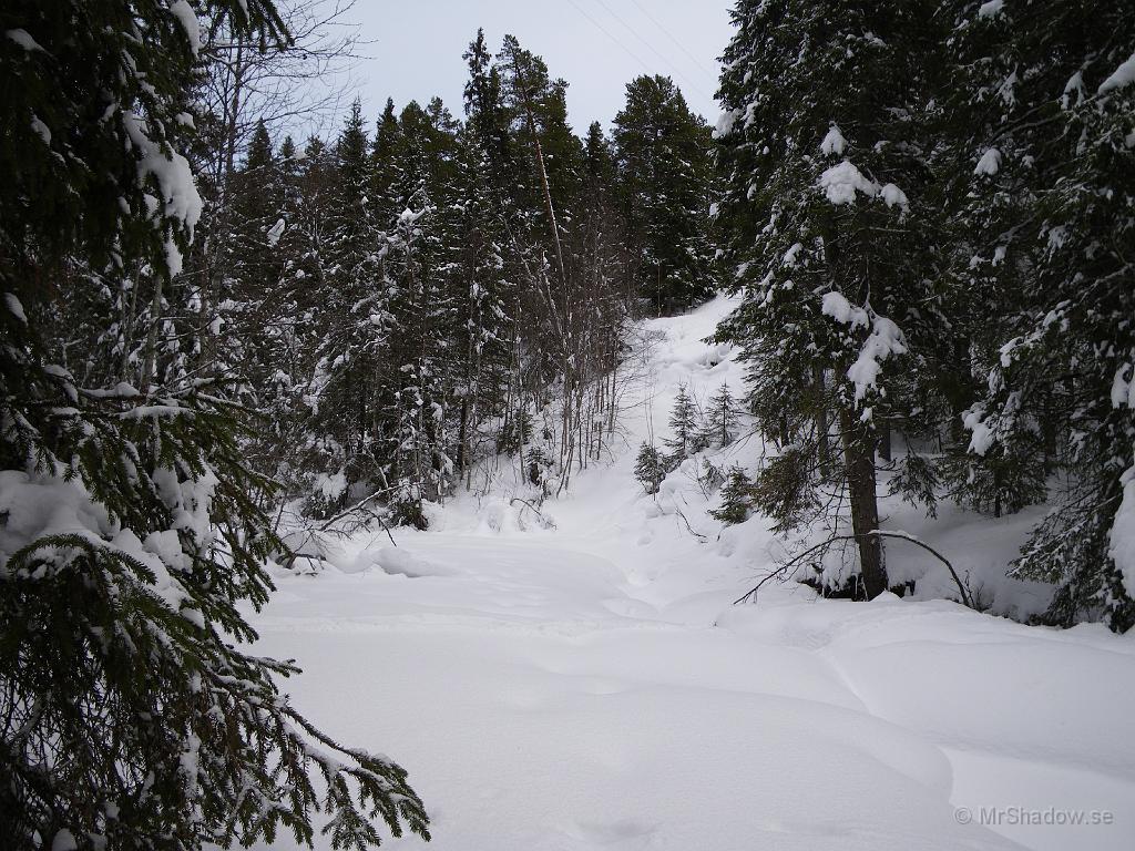IMGP0413.JPG - Snötäcket täcker alla spår.. av ån vid "The Creek"