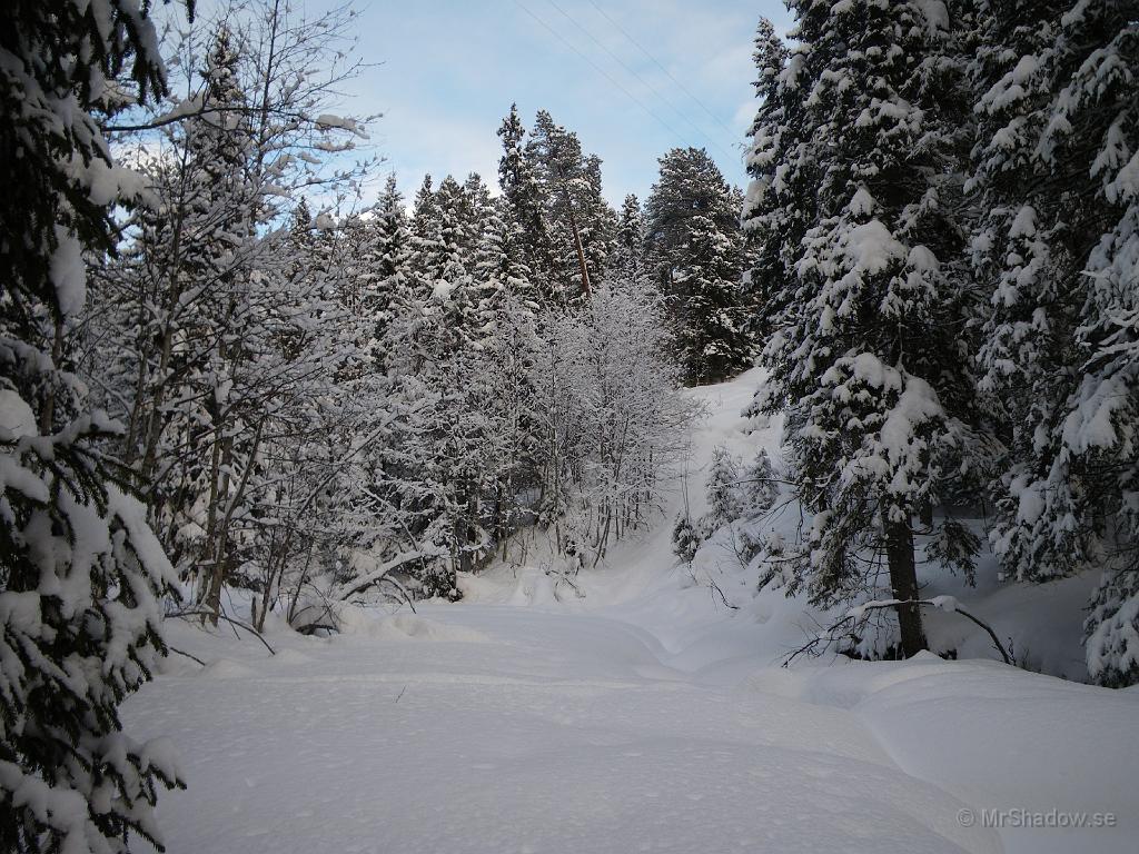 IMGP0447.JPG - Det ser dock ganska orört ut mot "The Creek"