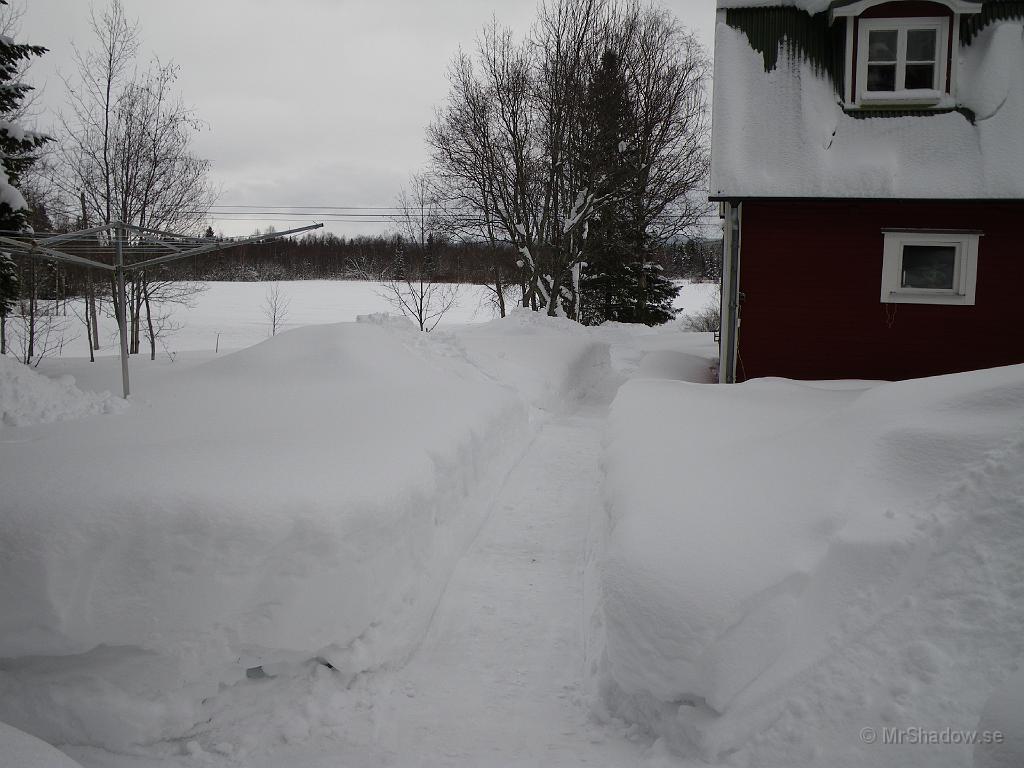 IMGP0458.JPG - Det är inte en gång till uthuset, utan snarare ett dike. Snödjupet är ungefär 80 - 90 cm