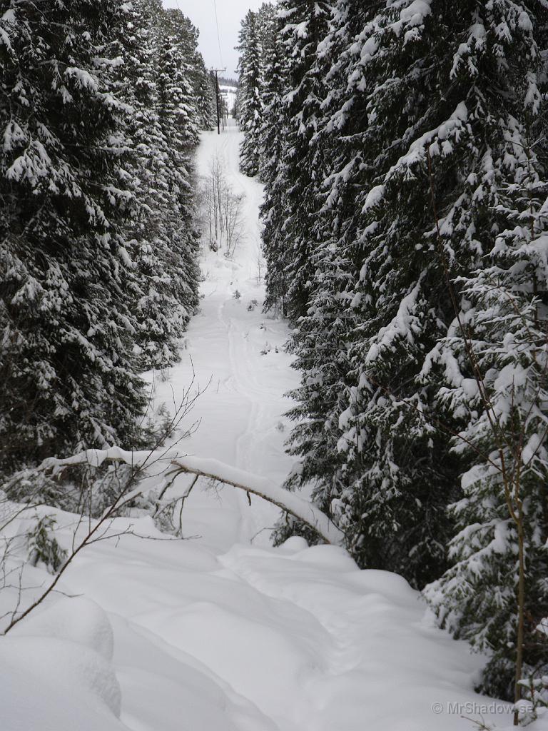 IMGP0459.jpg - Utsikt i kraftledningsgatan.. Där borta är "The Creek" men det måste man veta om... Inte så mycket spår efter vilt, utan mest bara efter slåttsägar'n som tjavat fram. Vanligen också i skoterspår..