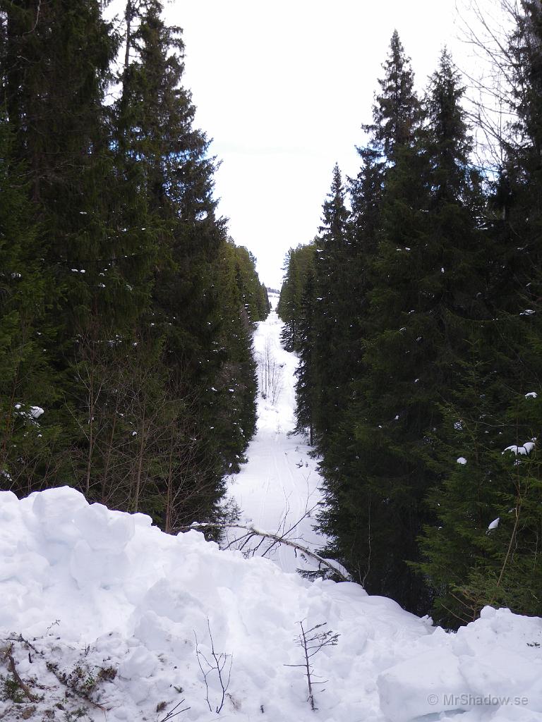 IMGP0545.JPG