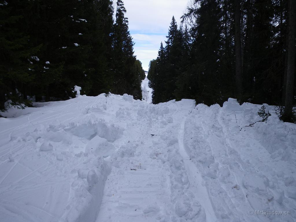 IMGP0547.JPG - Här har det larvat fram något lite större än en Larven snöskoter.