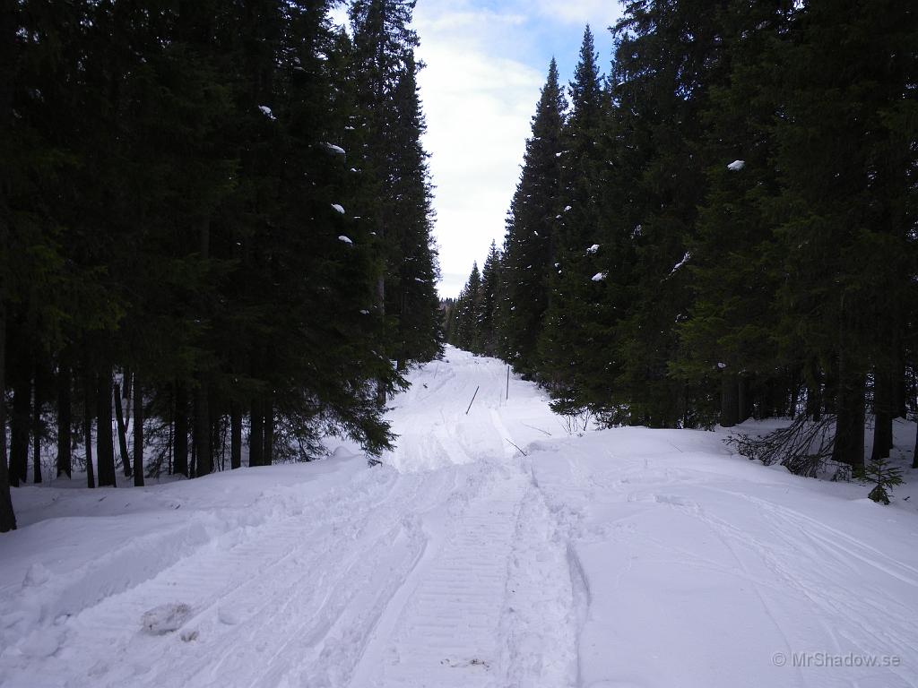 IMGP0548.JPG - Jämtkraft har plockat ner den gamla kraftledningen. Den nya ersättande ledningen har man grävt ner efter landsvägen istället. Kallas vädersäkring.