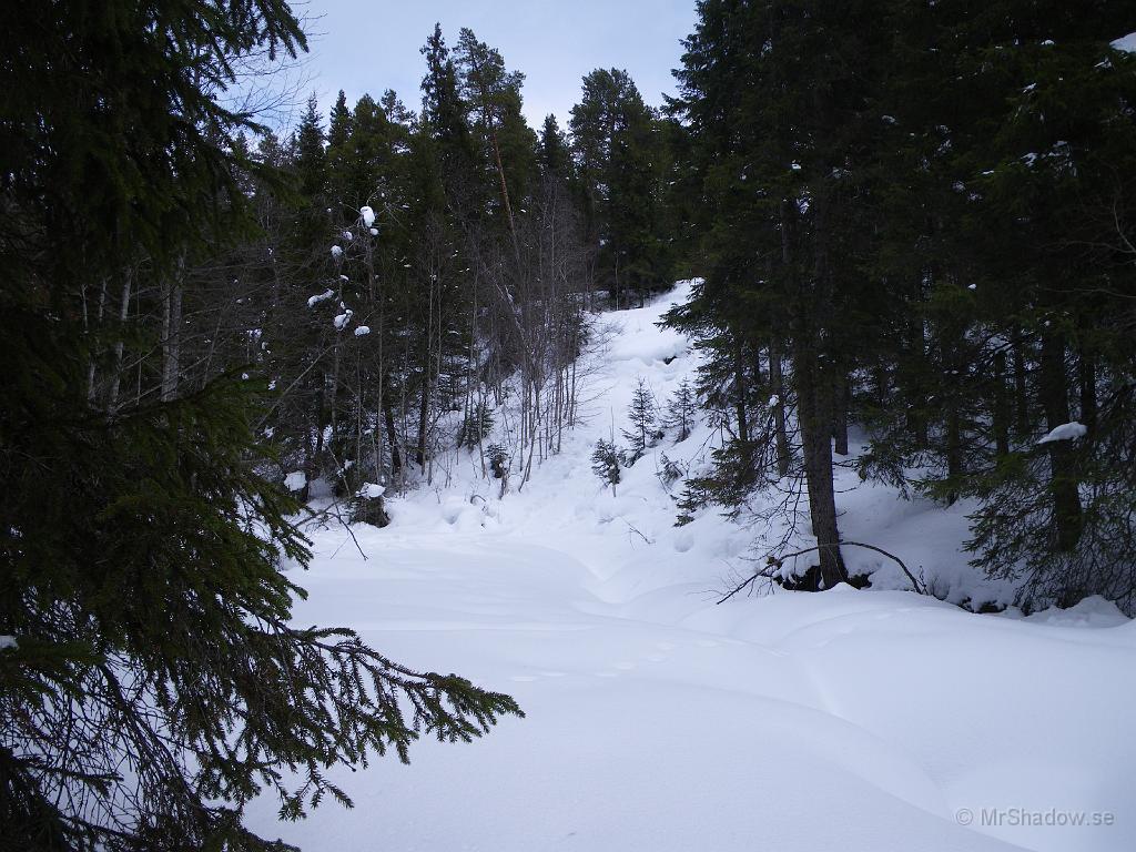 IMGP0549.JPG - Utsikten vid "The Creek" har inte förändrats mycket, mer än att tre eltrådar har försvunnit..