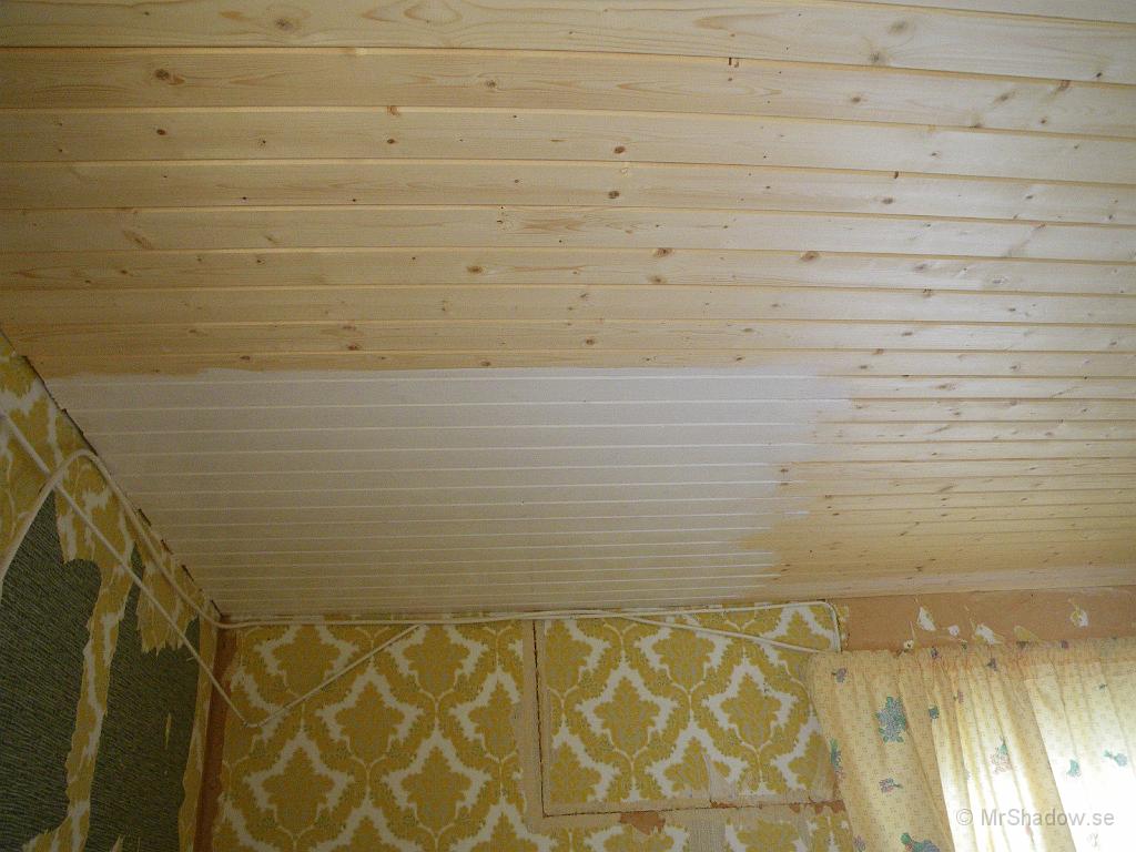 IMGP0561.JPG - Första varvet är grundfärg och första kvadratmetern är klar.. av 17