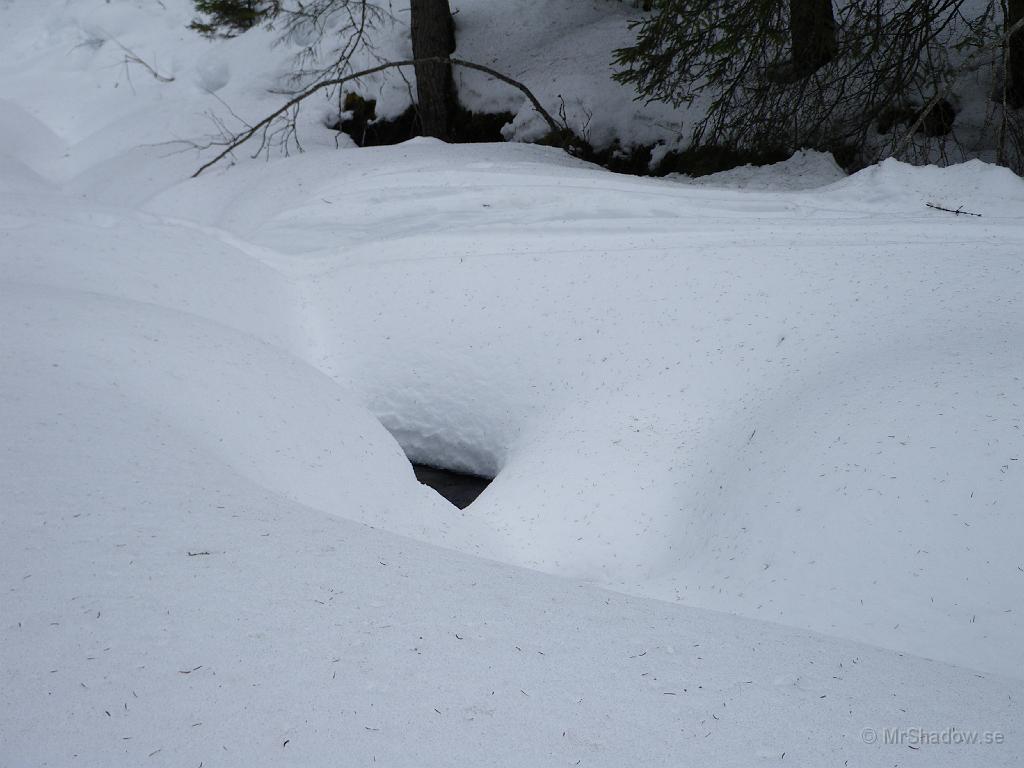 IMGP0571.JPG - Snart bruter ån igenom snötäcket riktigt. Man kan redan nu skymta lite rinnande vatten i de svarta hålen..