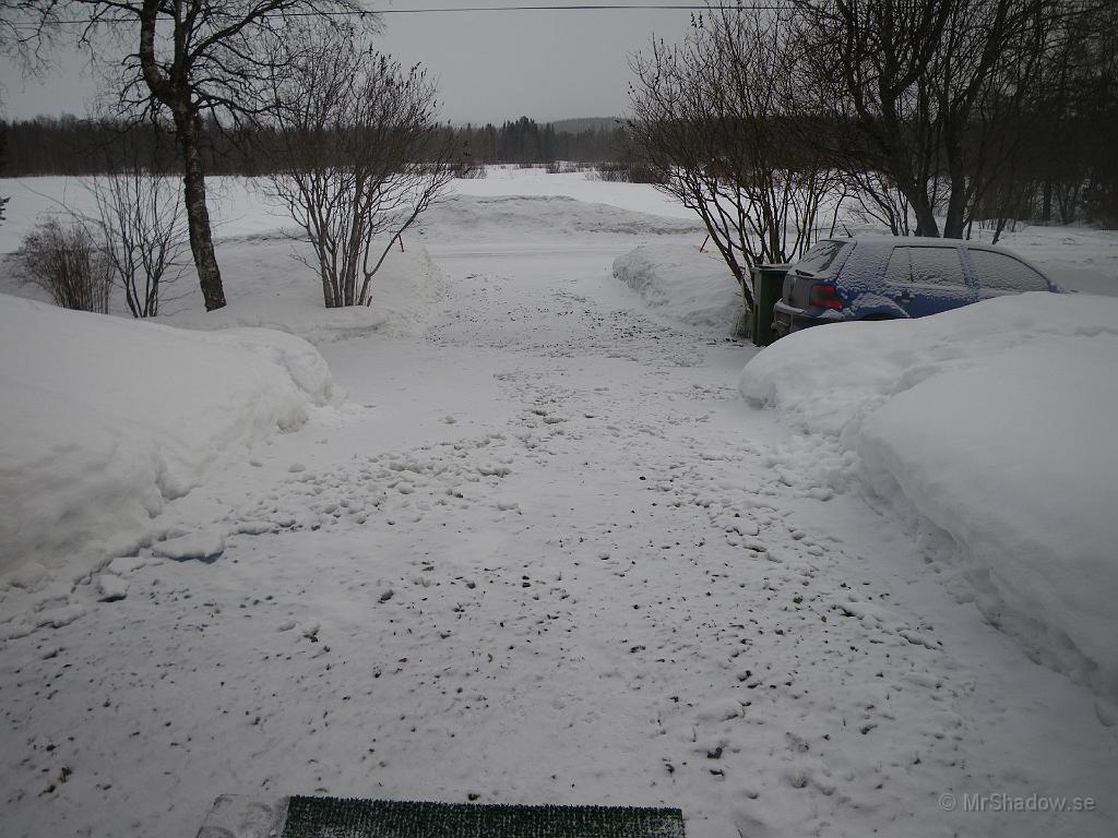 IMGP0583.JPG - Våren kom och försvann. Från 6-7 grader varmt till närmare 10 minus är det bara lite mer än en natt.