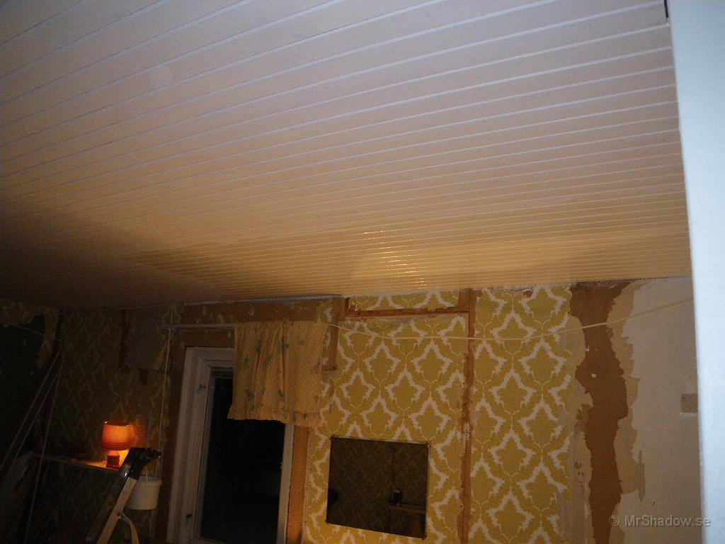 IMGP0608.JPG