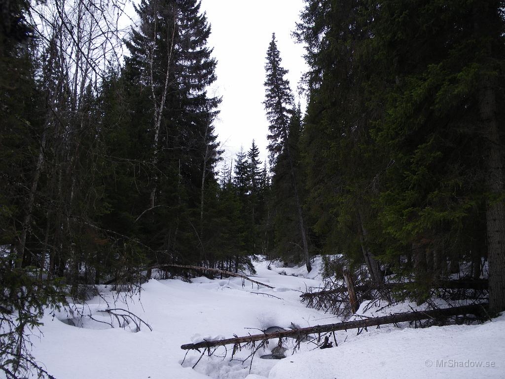 IMGP0631.JPG - 2009-04-03  Vid Åringsån är det inte riktigt vår ännu. Snön ligger fortfarande djup även om det börjar skymta lite strömmande vatten