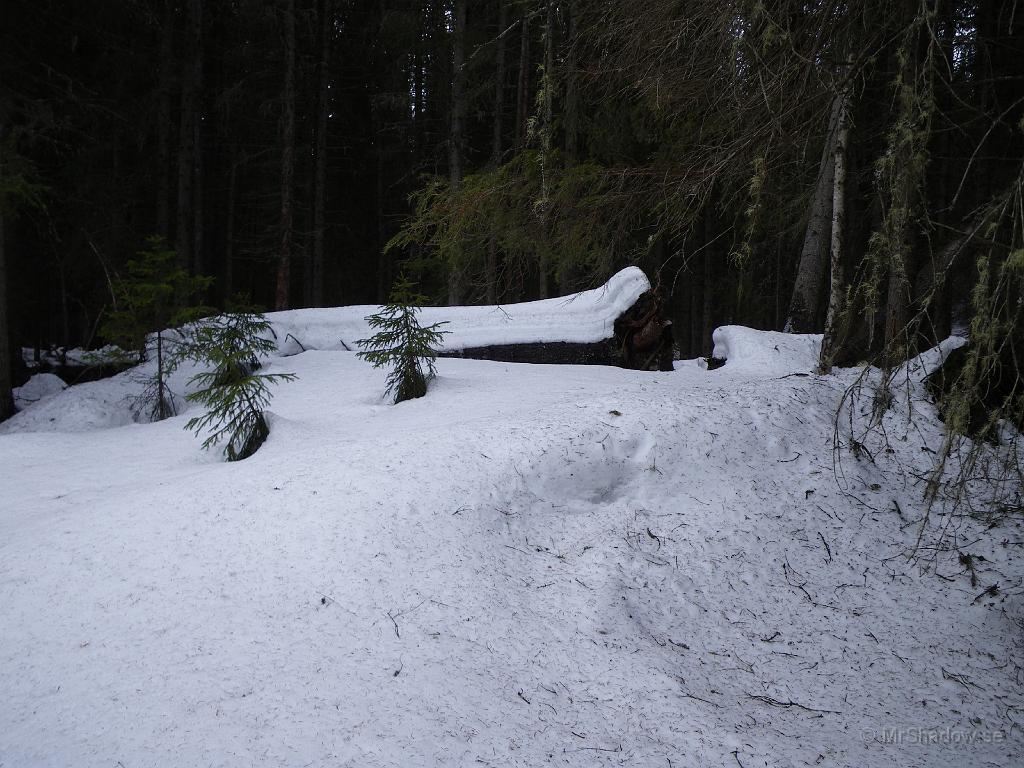IMGP0632.JPG - Även det tänkta veden är täckt av snö