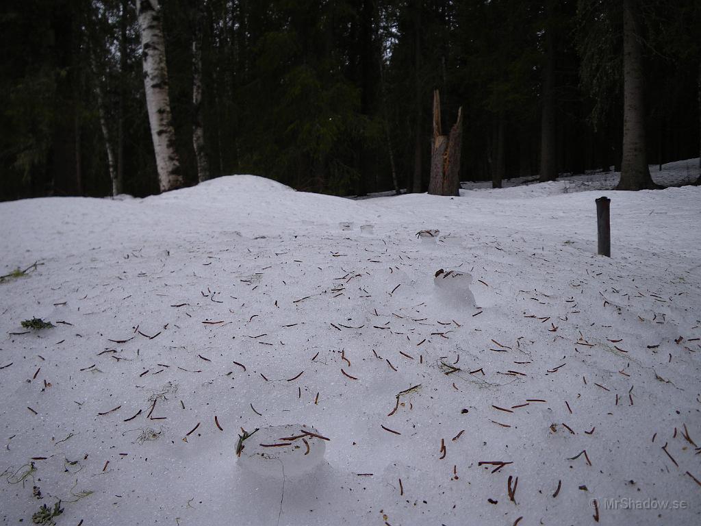 IMGP0640.JPG - Den hoptrampade snön och "hålet" har nu blivit en pelare, då den orörda snön runt omkring smälter snabbare.