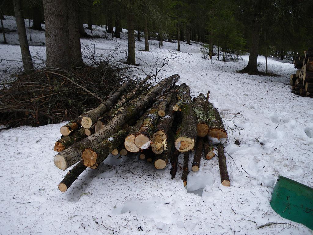 IMGP0641.JPG - Städat lite i skogen närmast och släpat hem lite ved. Kvalitén kanske inte är den bästa, men den kan säkert värma vid kommande vinter ändå.