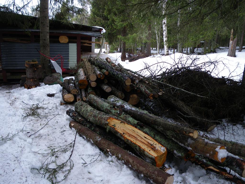 IMGP0655.JPG - Vedhögen växer lite. Fortsatt att städa bara ca 50 - 75 m från uthuset. Det finns mycket kvar att ta reda på, men det är mycket snö kvar ännu.