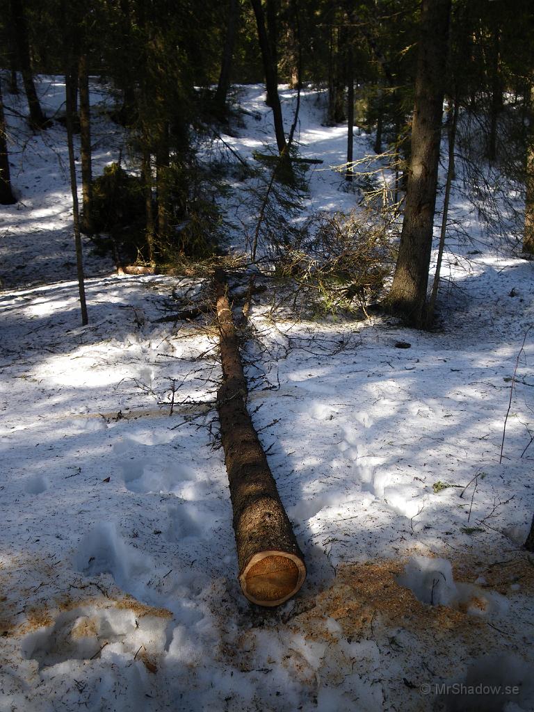IMGP0702.JPG - Även om nedre delarna är i dåligt skick, så kan den säkert värma upp stugan lite