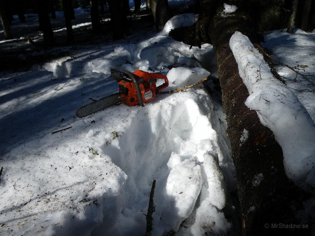 IMGP0704.JPG - Sågen är inte stor, men det är fortfarande djup snö.. I gämförelse alltså.. Kanske 60-70 cm här vid denna vindfälle
