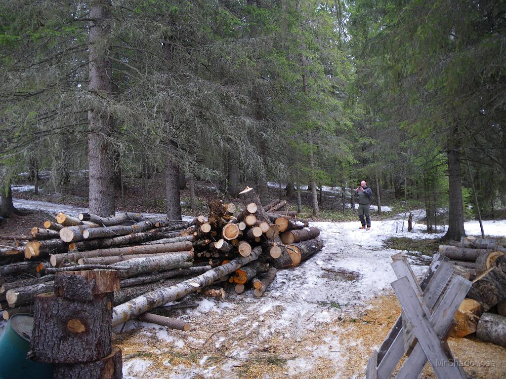 IMGP0720.JPG - Grannen har hjälpt till att ta hem lite ved från skogen. Gäller ju att passa på medans det går att komma fram med skoter och timmerkälke. M dokumenterar vedhögen han också.