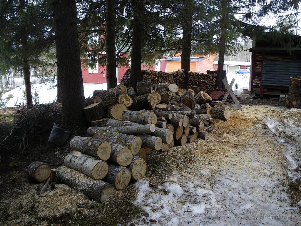 IMGP0726.JPG - Dessa kubbar har ju kommit en bit på väg i omvandling..