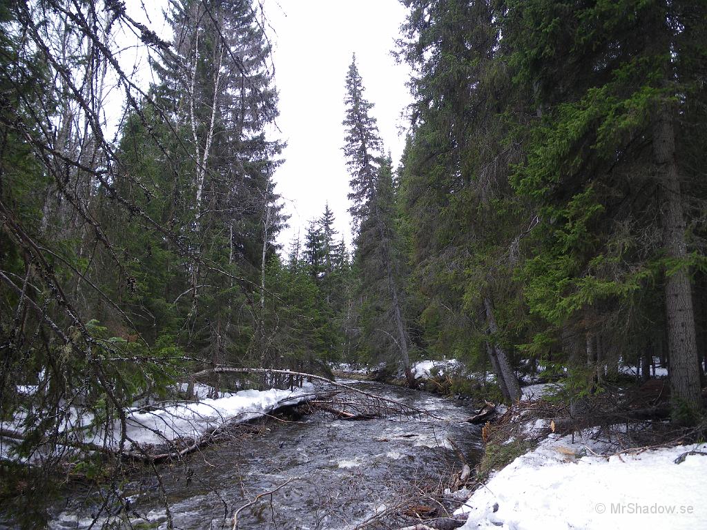 IMGP0728.JPG - Borta vid ån är det full skjuts på vattnet