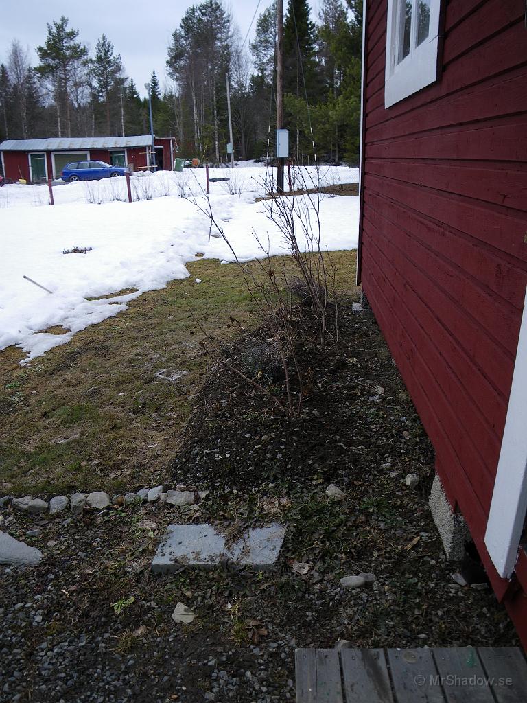IMGP0731.jpg - 2009-04-19 Snötäcket har sjunkit ihom betänkligt, men ännu är det vinterdvala i rabatten