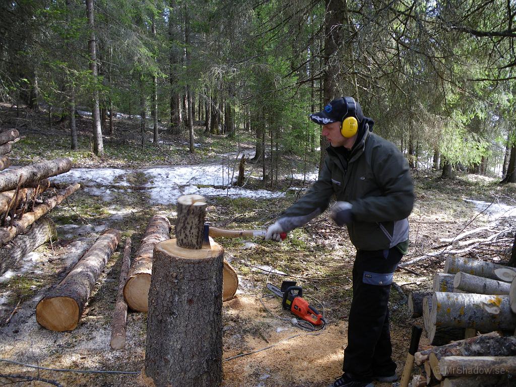IMGP0743.JPG - Test av ny huggkubbe. Testet innehöll också enhandsfattning mot liten kubbe lövträd.
