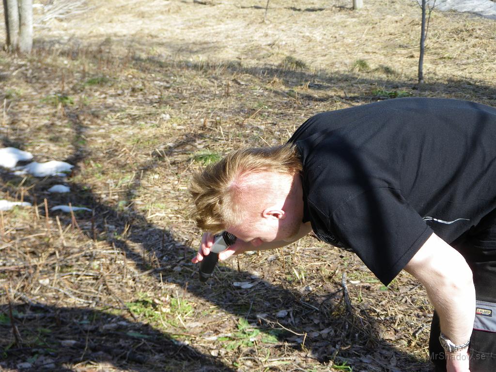 IMGP0748.JPG - Dags för tuppkammen att ta adjö