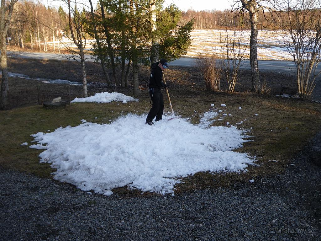 IMGP0751.JPG - Så var det dag att förtsätta sprida ut den mycket mödosamt hopsamlade snöhögen.