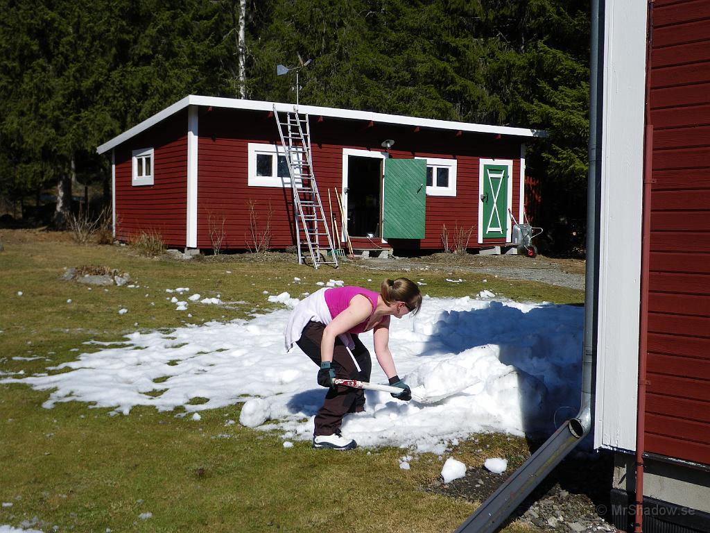 IMGP0758.JPG - T och J kom upp och hälsade på. De tog sig an lite av "snösvängen" på baksidan. T skottar snö i linne ;-)