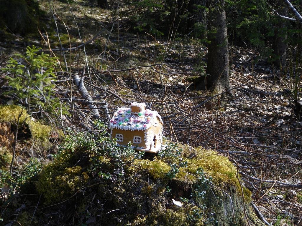 IMGP0782.JPG - Liknar faktist pepparkakshuset från tv-rummet i Slåtte