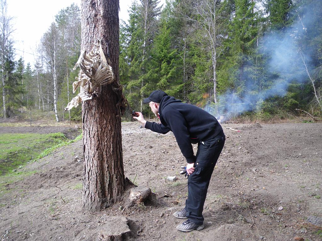 IMGP0917.JPG - Även om Bodyguard här studerar något dött... så ser man röken från brasan i bakgrunden. När grannen ändå skulle elda lite ris så passade vi också på att städa..