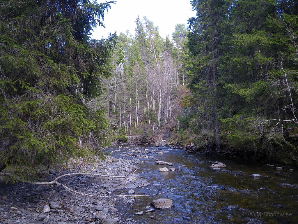 IMGP0932.JPG - Nu är vårfloden förbi i Åringsån. På bara en vecka har vattennivån sjunkit nästan en halvmeter. Men en liten liten snöhög finns kvar vid The Creek