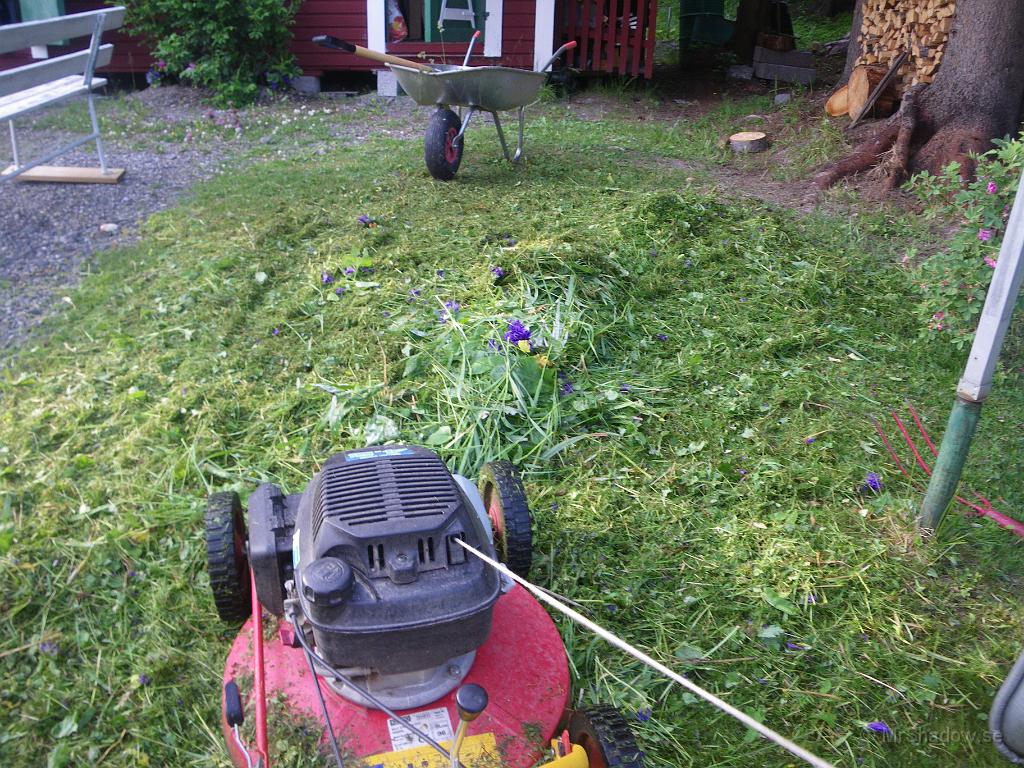 IMGP1472.JPG - Volymen minskar i vart fall på gräshögen när gräsklipparen fått köra över..