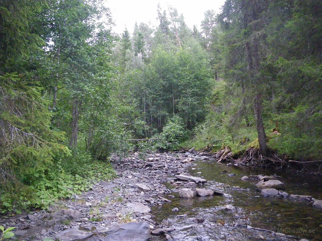 IMGP1835.JPG - Lite grådisigt, men det var ändå fint vid ån. Normalt vattenstånd verkar det vara. Grönt och fint är det i skogen också.