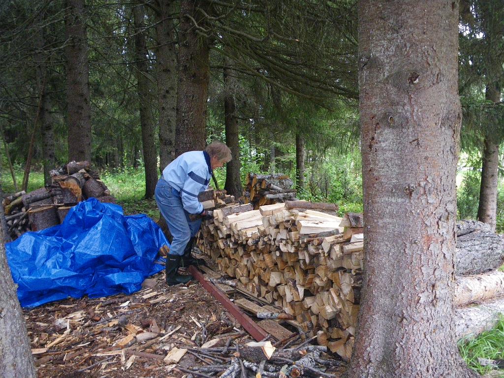 IMGP1970.JPG - Det krymper i traven ute på vedbacken..